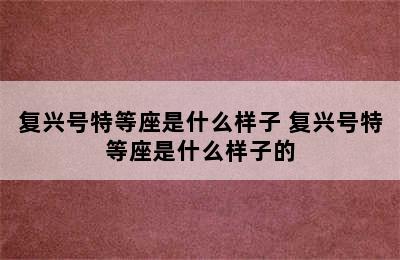 复兴号特等座是什么样子 复兴号特等座是什么样子的